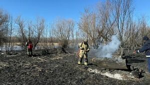 Пожар на площади 1 тыс. га тушат в лесничестве в Атырауской области