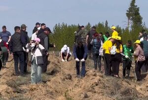 Токаев поддержал инициативу абайцев по восстановлению сгоревшего вокруг Семея соснового бора