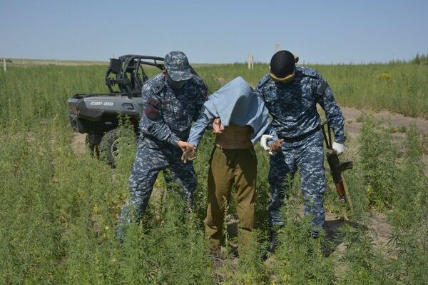 Ночные  вылазки  за кайфом