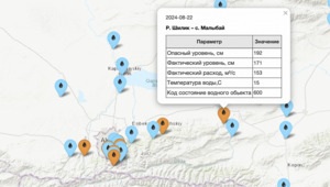 Онлайн-карта паводков с мониторингом появилась в Казахстане