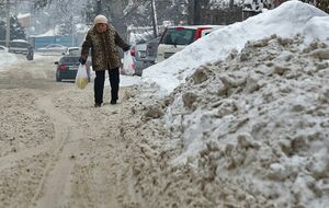 Лопату в руки - и вперёд!..