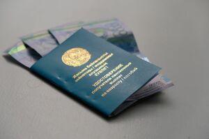 Из-под земли достал