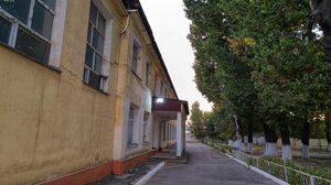 Возвращение  в сырые пенаты