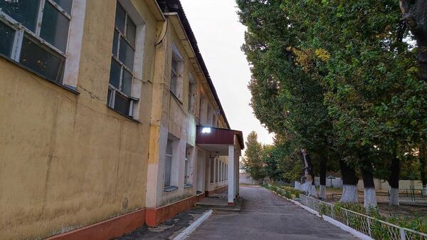 Возвращение  в сырые пенаты