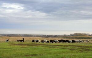 Более 2 млн гектаров земель вернули в собственность Казахстана