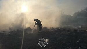 Крупный пожар уничтожил хозяйственные постройки и крупный рогатый скот в ЗКО