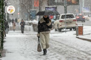 Снег ожидается на большей части Казахстана в ближайшие три дня