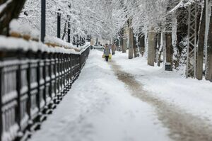 Метель и осадки ожидаются на большей части Казахстана в ближайшие три дня