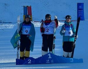 Успехи и неудачи в Турине