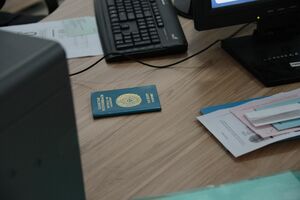 Граждане и товарищи