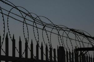 Уголовное дело о попытке побега из следственного изолятора расследуют в Алматы