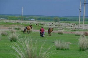 160 тыс. га земель планируют вернуть в госсобственность в Актюбинской области