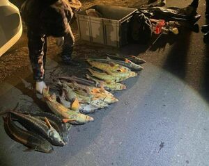 Нарыбачил  на срок