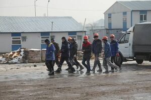 Трудовые мигранты из Китая, Турции и Индии лидируют по численности в Казахстане