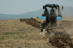 На 200 млрд тенге собирается профинансировать фермеров «Казагрофинанс» в 2025 году