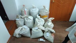 Канал поставки наркотиков ликвидировали в Жамбылской области