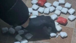 17 нарколабораторий ликвидировали за февраль в Казахстане