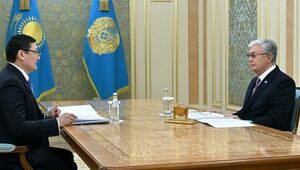 Токаев принял Берика Уали