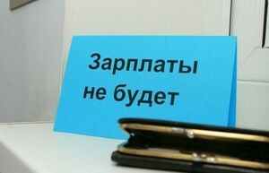 Более 250 работников предприятия не получали зарплату в Туркестанской области
