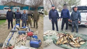 Случаи незаконной добычи рыбы выявили в Алматинской области