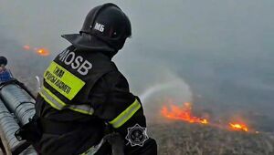 Природный пожар в области Абай продолжают тушить