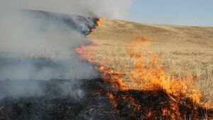 Распространившийся степной пожар тушат в Костанайской области