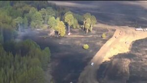 Пожар на территории «Семей орманы» полностью потушили