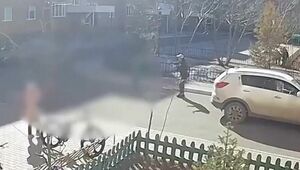 Двухлетнюю девочку насмерть сбили в Акмолинской области