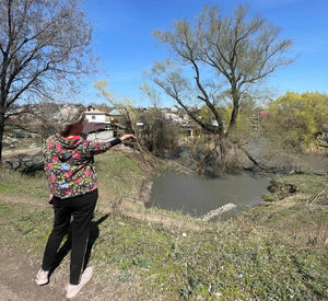 Венецианский ералаш