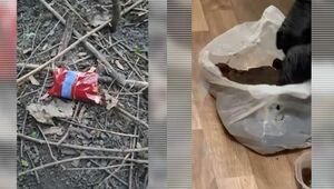 Более 50 кг наркотиков изъяли у мужчины в Алматы