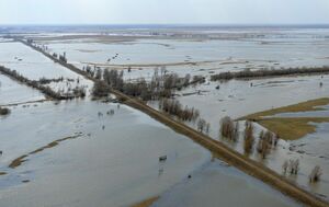 Уровень зашкаливания