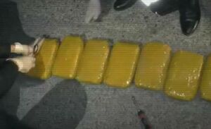 Более 30 кг гашиша изъяли на трассе в Жамбылской области