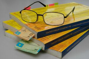 Специальные налоговые режимы оптимизируют с семи до трех – Жумангарин