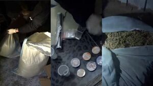 10 фитолабораторий ликвидировали за три месяца в ВКО