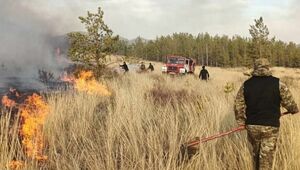 Бектенов поручил расследовать пожары в Павлодарской области и области Абай