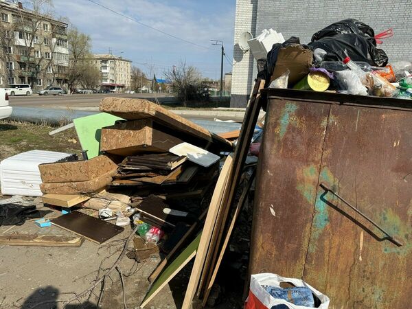 В мусорном тупике