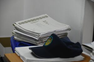 Утюг как метод воспитания