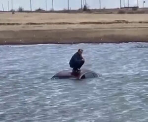 На крыше  авто своего