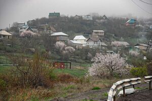 Дачникам улыбнётся удача?