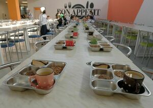 Внеплановая проверка школьных столовых начата в Мангистау