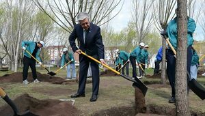 Глава государства посадил дерево в парке «Жастар»