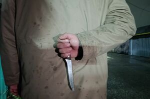 Слышали звон…