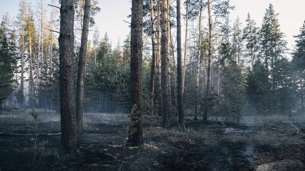 Кто не высадил, того посадят?