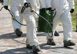 Масштабная обработка от комаров и мошек началась в Астане