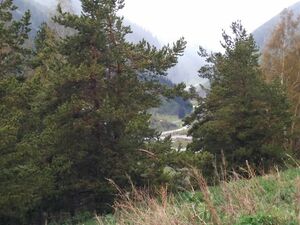 Заповедник или западня?