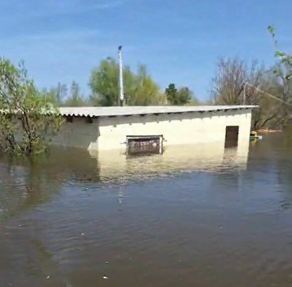 Великое переселение