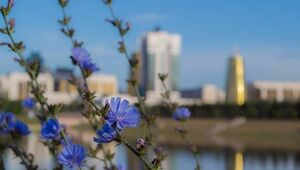 Погода без осадков ожидается в субботу в Астане, Алматы и Шымкенте