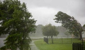 ДЧС предупредил о сильном ветре и грозе в Алматы