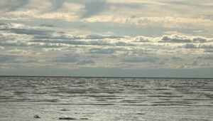 Паводковая вода направлена в озера, реки и на пастбища в ЗКО