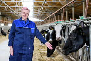 Формула удачи